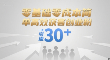 零基础零成本简单高效获客创业粉，一天引流30+-月亮湾网创资源站