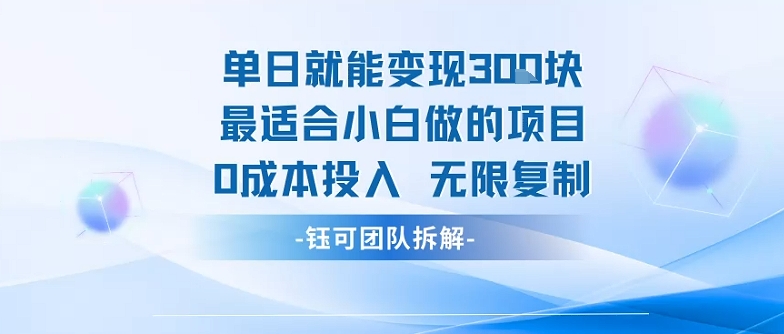 单日就能变现3张最适合小白做的项目0成本投入 无限复制-月亮湾网创资源站