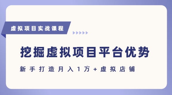 抓住虚拟项目各平台优势，新手轻松月入1W+(给出具体建议)-月亮湾网创资源站