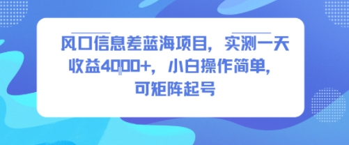 风口信息差蓝海项目，实测一天收益4k+，小白操作简单，可矩阵起号-月亮湾网创资源站