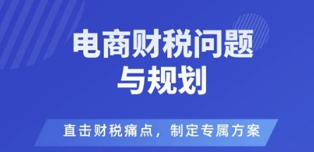 电商企业财税风险与规避，直击财税痛点，制定专属方案-月亮湾网创资源站