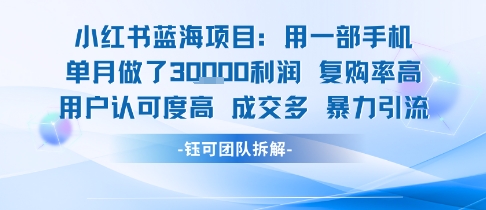 小红书蓝海项目，一部手机单月做了3W利润，小白也能月入过1W用户认可度高成交多-月亮湾网创资源站