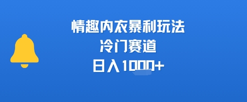 情趣内衣暴利玩法，冷门赛道，日入1k+-月亮湾网创资源站