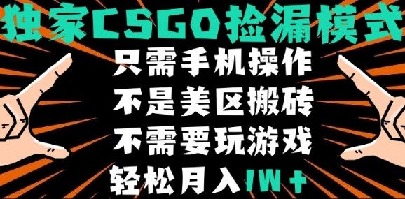 CSGO自动捡漏项目，最新独家玩法，不是美区搬砖，不需要了解和玩游戏，新手小白轻松月入1W+【揭秘】-月亮湾网创资源站