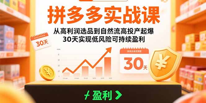拼多多实战课：从高利润选品到自然流高投产起爆 30天实现低风险可持续盈利-月亮湾网创资源站