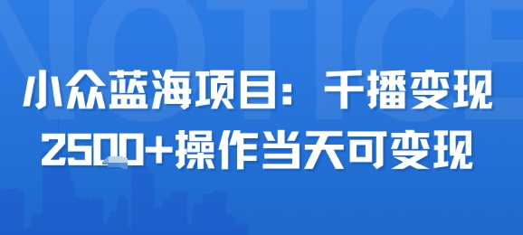 小众蓝海项目，千播变现2.5k+操作当天可变现-月亮湾网创资源站
