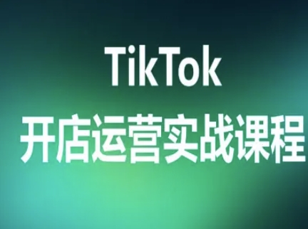TikTok开店运营实战课程，TK跨境电商实操全流程-月亮湾网创资源站