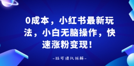 0成本，小红书最新玩法，小白无脑操作，快速涨粉变现-月亮湾网创资源站