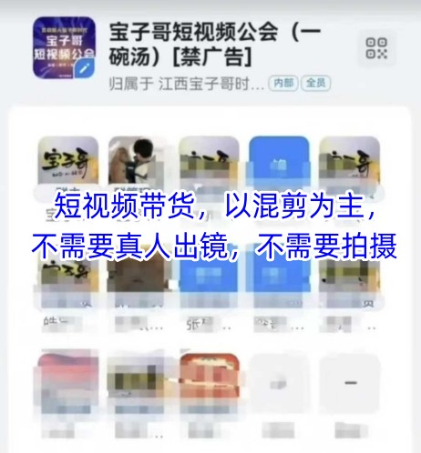 宝子哥头部团队短视频带货，以混剪为主，不需要真人出镜，不需要拍摄【更新8月】-月亮湾网创资源站