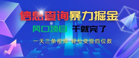 信息查询暴力掘金，一天三条视频，轻松变现四位数，风口项目干就完了【揭秘】-月亮湾网创资源站