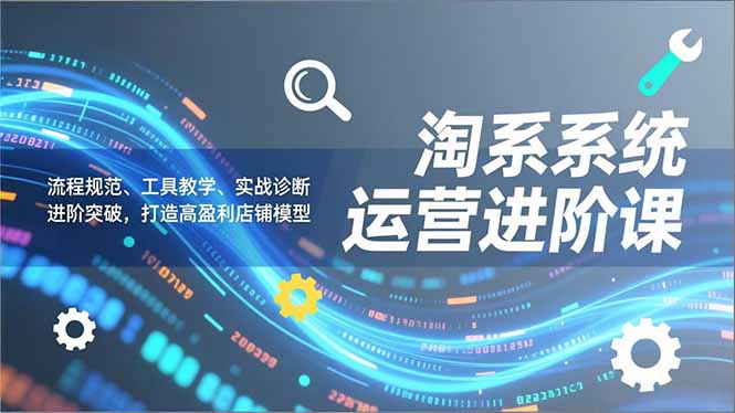 淘系系统运营进阶课2.0，流程规范、工具教学、实战诊断，进阶突破，打造高盈利店铺模型-月亮湾网创资源站