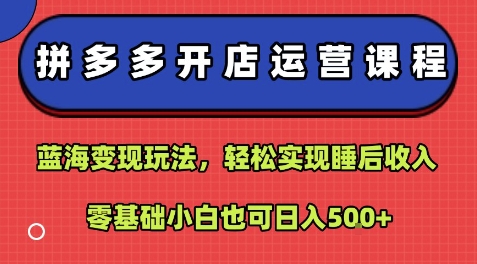 拼多多开店运营课程：蓝海变现玩法，轻松实现睡后收入，零基础小白也可日入5张-月亮湾网创资源站