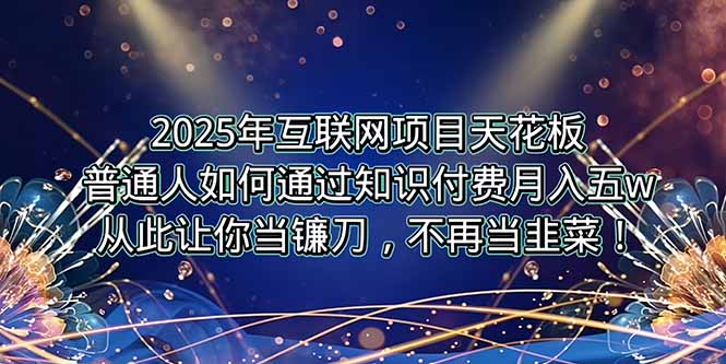 2025年互联网项目天花板，普通人如何通过卖项目实现逆风翻盘，月入5W＋！-月亮湾网创资源站