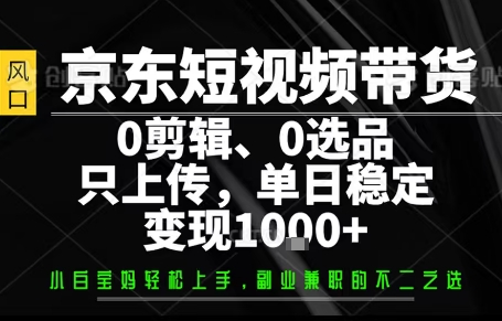 你出账号，我来运营，保底日入1k+，开启躺賺模式【揭秘】-月亮湾网创资源站