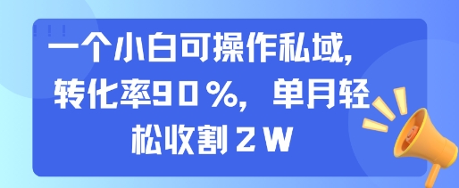 一个小白可操作私域，转化率90%，单月轻松收割2W-月亮湾网创资源站