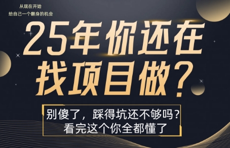 25年，你还在疯狂的找项目吗？别傻了，看完这个你都懂了【揭秘】-月亮湾网创资源站
