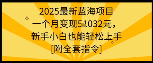 2025最新蓝海项目一个月变现1w+新手小白也能轻松上手【附全套指令】-月亮湾网创资源站