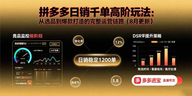 拼多多日销千单高阶玩法：从选品到爆款打造的完整运营链路(8月更新-月亮湾网创资源站
