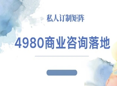 4980商业咨询师落地课程-ip运营高客单教程-月亮湾网创资源站