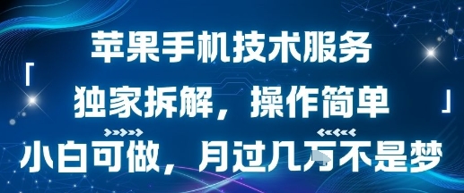 苹果手机技术服务，独家拆解，操作简单，小白可做，月过1W不是梦-月亮湾网创资源站