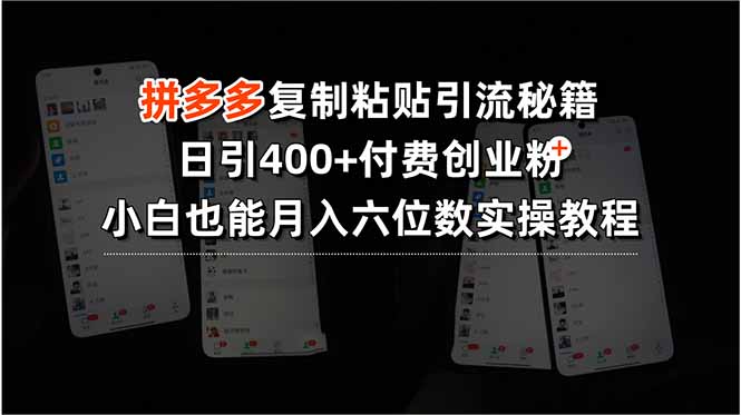 拼多多复制粘贴引流秘籍，日引400+付费创业粉，小白也能月入六位数实操…-月亮湾网创资源站