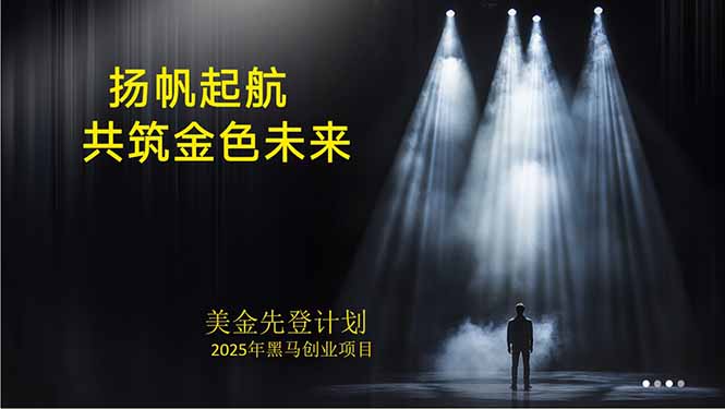 美金对冲创业项目，日收益1000-3000，小众暴力项目稳定运行8年-月亮湾网创资源站