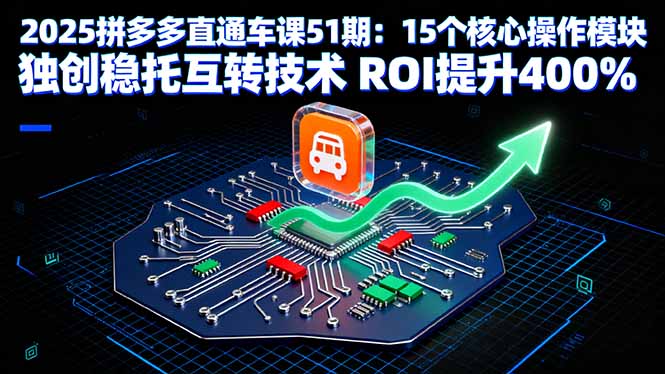 2025拼多多直通车课51期：15个核心操作模块 独创稳托互转技术 ROI提升400%-月亮湾网创资源站