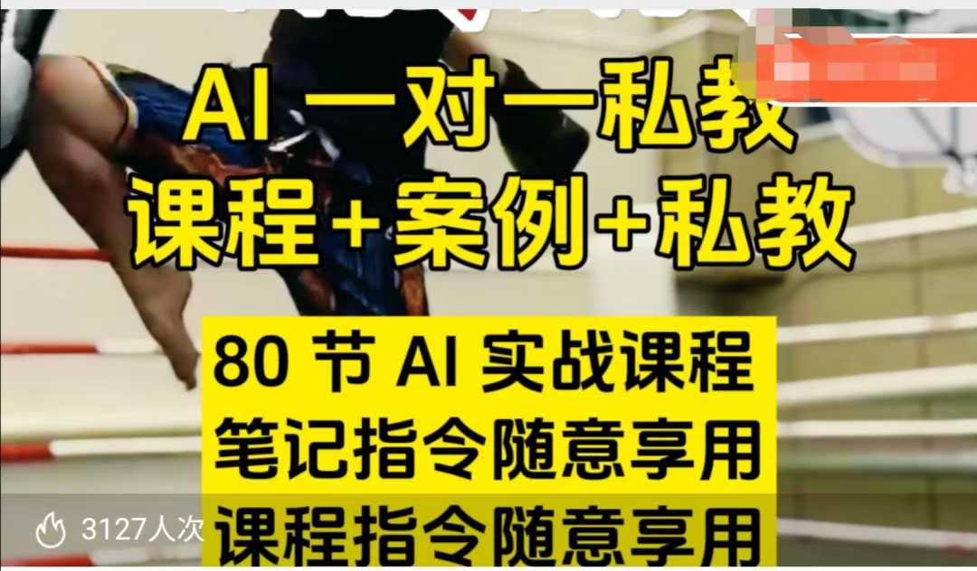 AI指令实战课，课程+案例，80节AI实战课程，笔记指令随意享用，课程指令随意享用(更新7月)-月亮湾网创资源站