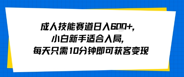 成人技能赛道日入多张，小白新手适合入局，每天只需10分钟即可获客变现-月亮湾网创资源站