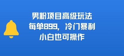 男粉项目高级玩法，每单899，冷门暴利，小白也可操作-月亮湾网创资源站