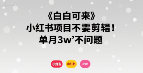 小白可来 小红书项目不需要剪辑 单月3w不是问题-月亮湾网创资源站