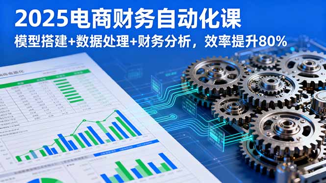 2025电商财务自动化课，模型搭建+数据处理+财务分析，效率提升80%-月亮湾网创资源站