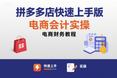拼多多店快速上手版电商会计实操-电商财务教程-月亮湾网创资源站
