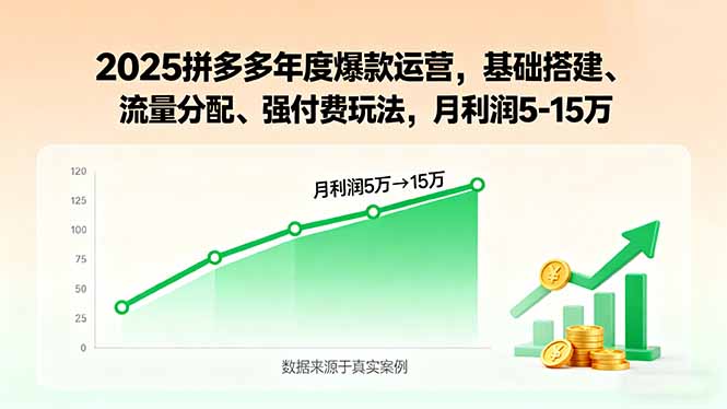 2025拼多多年度爆款运营，基础搭建、流量分配、强付费玩法，月利润5-15万-月亮湾网创资源站