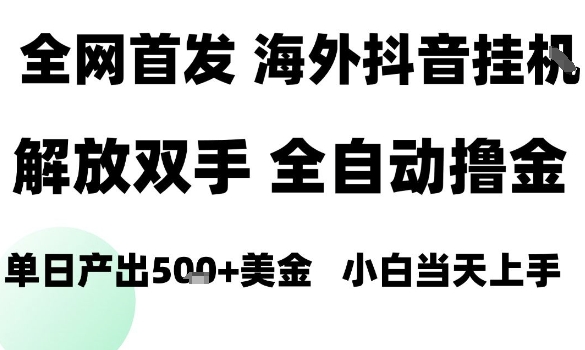 海外抖音无人直播，单日产出1.5k+，长期稳定，新手可玩，无脑操作【揭秘】-月亮湾网创资源站