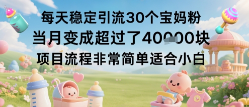 每天稳定引流30个宝妈粉当月变成超过了1W+项目流程非常简单适合小白-月亮湾网创资源站