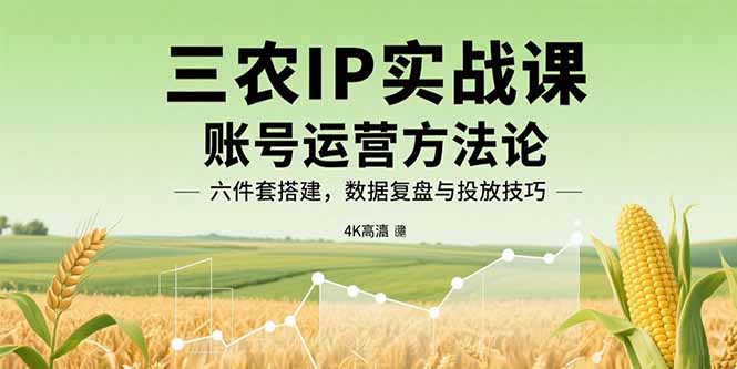 三农IP实战课：账号运营方法论，六件套搭建，数据复盘与投放技巧-月亮湾网创资源站