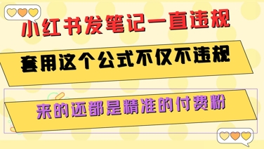 小红书发笔记一直违规，套用这个公式不仅不违规，来的还都是精准的付费粉-月亮湾网创资源站