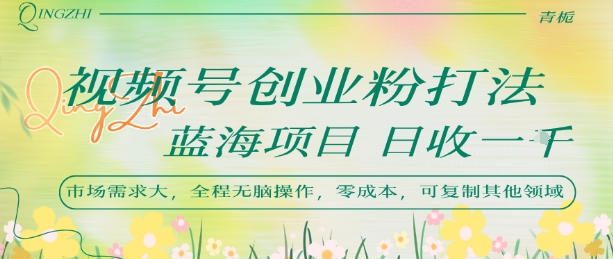 视频号创业粉打法，日入1k，蓝海项目，市场需求大，全程无脑操作，可复制-月亮湾网创资源站