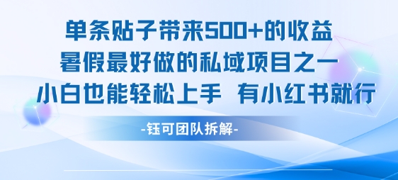 单条贴子带来5张的收益，暑假最好做的私域项目之一，小白也能轻松上手，有小红书就行-月亮湾网创资源站