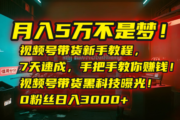月入5万不是梦！视频号带货新手教程，7天速成，手把手教你赚钱！视频号…-月亮湾网创资源站