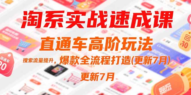 淘系实战速成课，直通车高阶玩法，搜索流量提升，爆款全流程打造(更新7月-月亮湾网创资源站