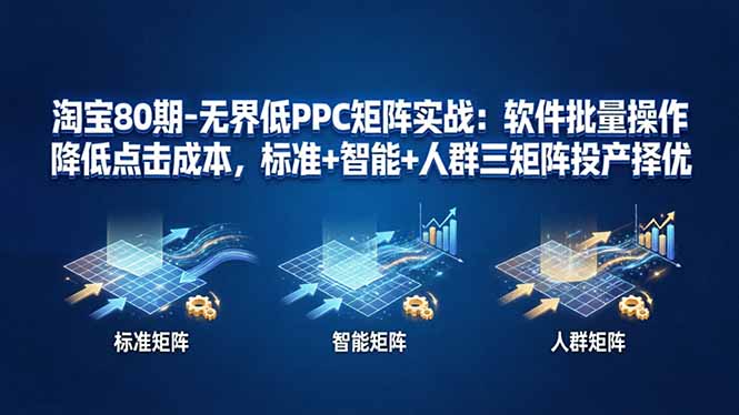 淘宝80期-无界低PPC矩阵实战：软件批量操作降低点击成本，标准+智能+人群三矩阵投产择优-月亮湾网创资源站
