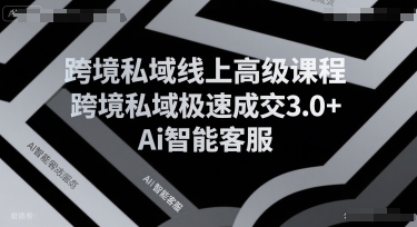 跨境私域线上高级课程，跨境私域极速成交3.0+Ai智能客服-月亮湾网创资源站