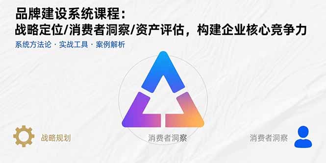 品牌建设系统课程：战略定位/消费者洞察/资产评估，构建企业核心竞争力-月亮湾网创资源站