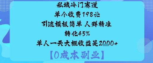 私域冷门赛道:单个收费198米引流模板简单人群精准转化45%单人一天大概收益是1k+-月亮湾网创资源站