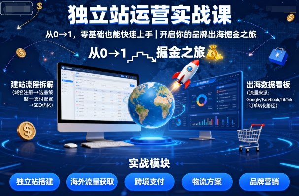 独立站运营实战课，从0到1，零基础也能快速上手，开启你的品牌出海掘金之旅-月亮湾网创资源站