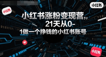 小红书涨粉变现营，21天从0-1做一个挣钱的小红书账号-月亮湾网创资源站