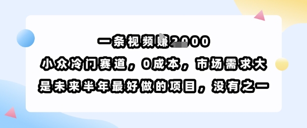 一条视频挣1k，小众冷门赛道，0成本，市场需求大，是未来半年最好做的项目，没有之一-月亮湾网创资源站