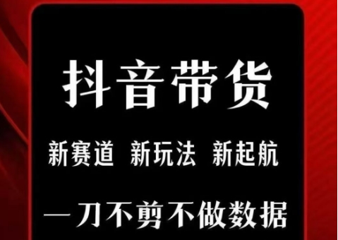 抖音短视频一刀不剪带货，不剪辑，不直播，每天发个视频，等着出单获取带货佣金-月亮湾网创资源站